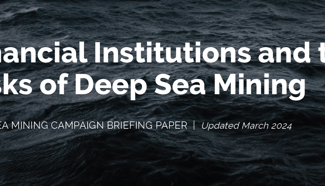 Financial Institutions and the Risks of Deep Sea Mining